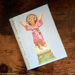 Novena al Divino Nino Jesus – Spanish Catholic Prayer Book with 9-Day Devotion, Traditional Prayers for Faith, Hope, and Spiritual Guidance