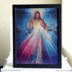 Divine Mercy Catholic 3D Framed Image 17" x 13"