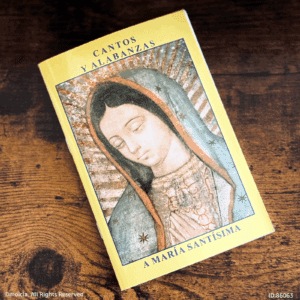 Novena Cantos y Alabanzas a Maria Santisima